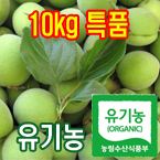 100%유기농청매실10kg(특품:장아찌또는엑기스용)[전남광양]/무료배송(5월28일부터 발송)