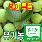 100%유기농청매실5kg(특품:장아찌또는엑기스용)[전남광양]/무료배송(5월28일부터 발송)