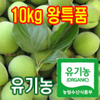 100%유기농청매실10kg(왕특품:장아찌용)[전남광양]/무료배송(5월28일부터 발송)