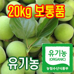 100%유기농청매실20kg(보통품:엑기스용)[전남광양]/무료배송(5월28일부터 발송)