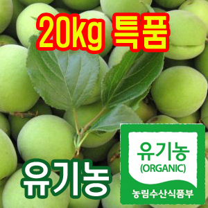 100%유기농청매실20kg(특품:장아찌또는엑기스용)[전남광양]/무료배송(5월28일부터 발송)