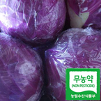 ♥할인♥[무농약]적양배추6kg/무농약재배