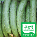 무농약오이1kg/생식용/조리용(친환경 오이)