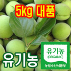 100%유기농청매실5kg(대품:엑기스용)[전남광양]/무료배송(5월28일부터 발송)