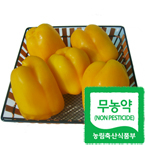 [친환경재배]파프리카1kg(노랑)(250g기준 약4통정도)