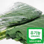 유기농 즙케일1.5kg(유기농재배)/친환경