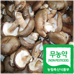 무농약 생표고버섯500g/무농약재배