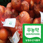 무농약 햇양파10kg/무농약재배