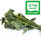 유기농 즙신선초1.5kg(유기농재배)/친환경