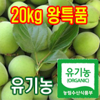 100%유기농청매실20kg(왕특품:장아찌용)[전남광양]/무료배송(5월28일부터 발송)